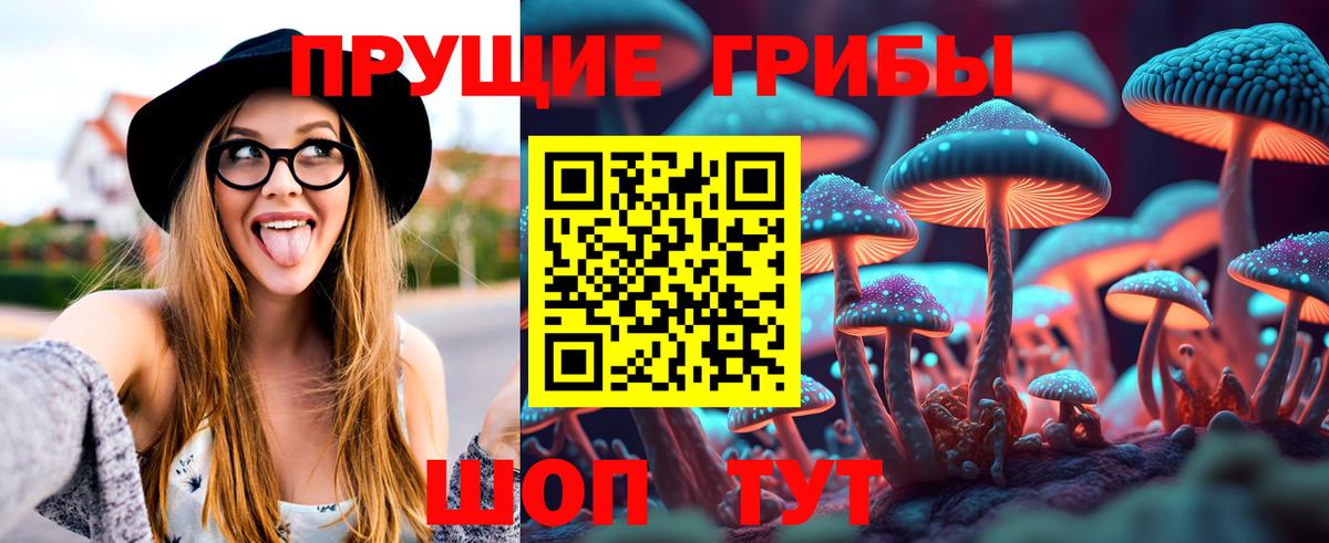 Псилоцибиновые грибы MAGIC MUSHROOMS Новочебоксарск