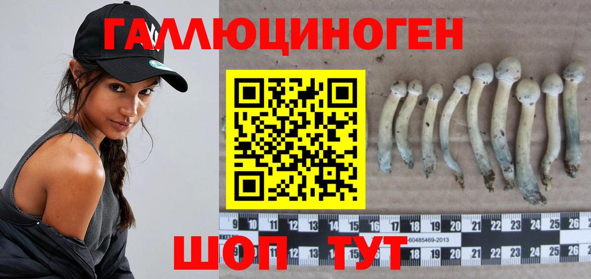 Новочебоксарск  Галлюциногенные грибы Cubensis  Вход с VPN 